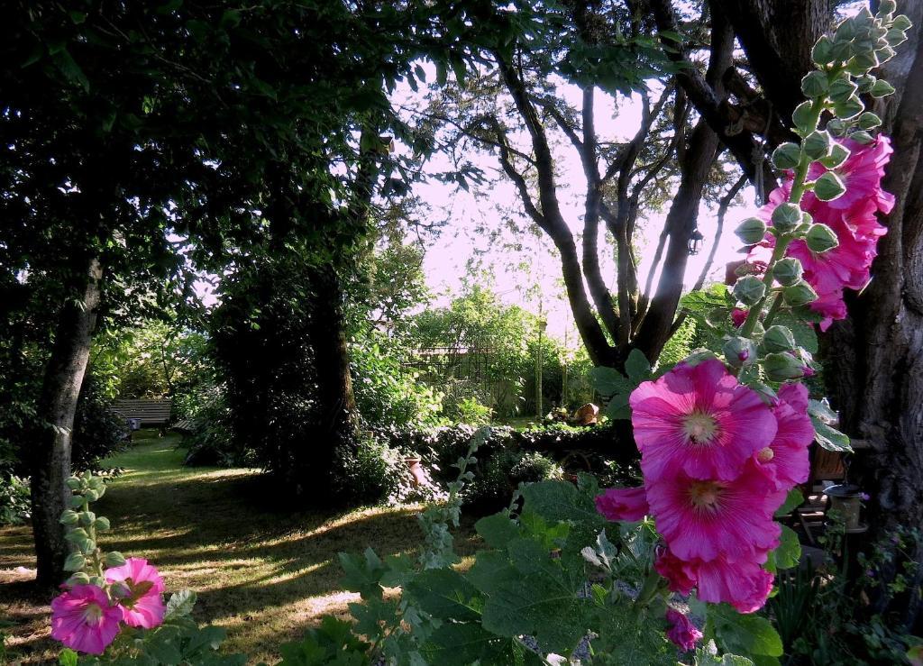 La Claverie Sainte-Radégonde-des-Noyers Kültér fotó